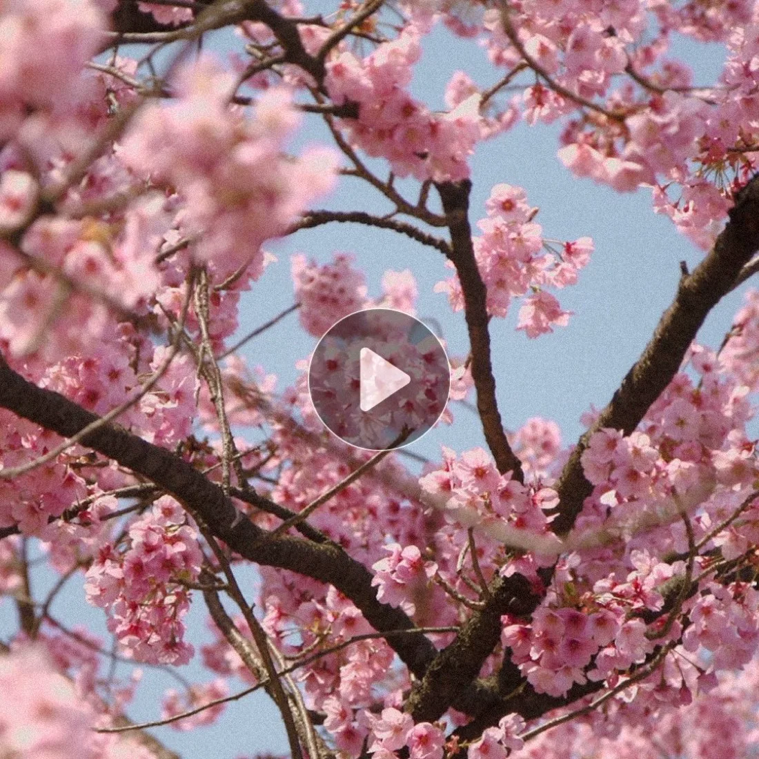 A still from a hospitality brand film